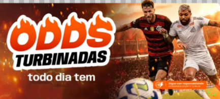 Formulário registro 65z